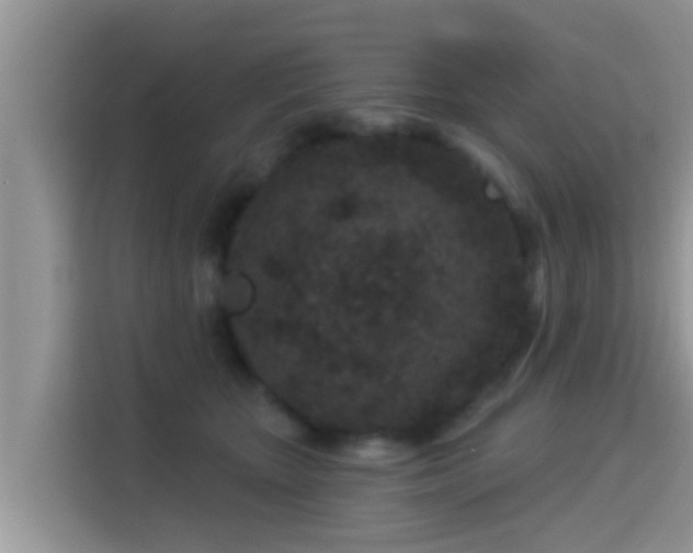 X0000115290467200911090955