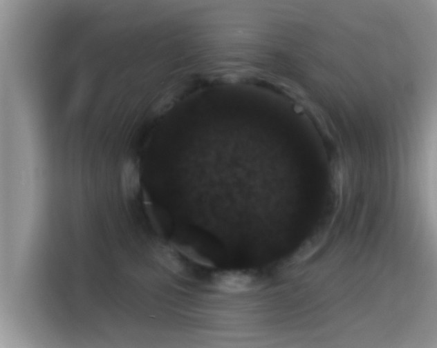 X0000115290471200911090955