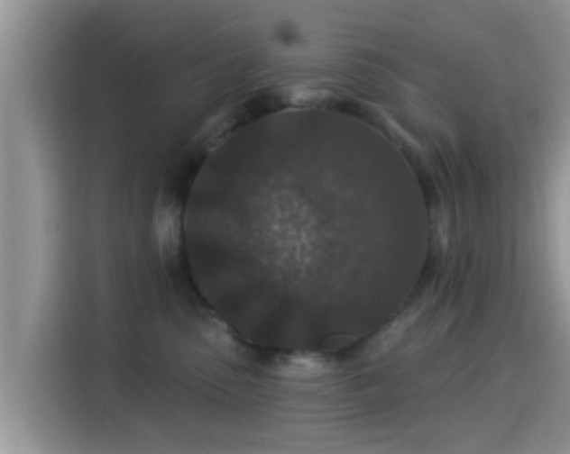 X0000115290475200911090956