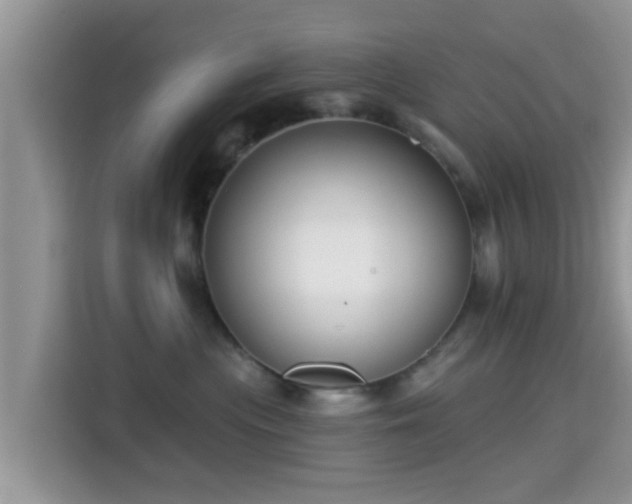 X0000115290477200911090956