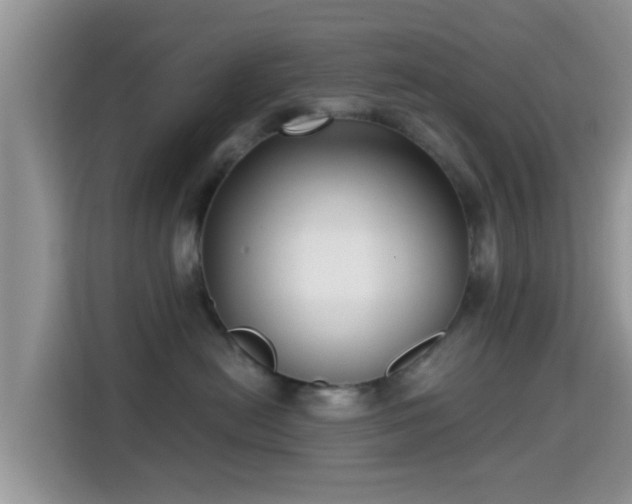 X0000115290478200911090956