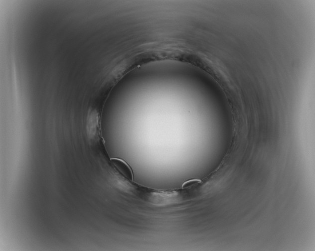 X0000115290480200911090956