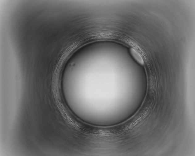 X0000115290481200911090955