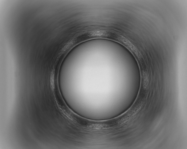 X0000115290482200911090955