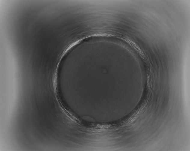 X0000115290484200911090955