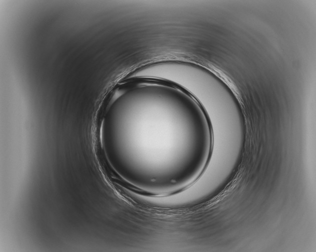 X0000115290485200911090955