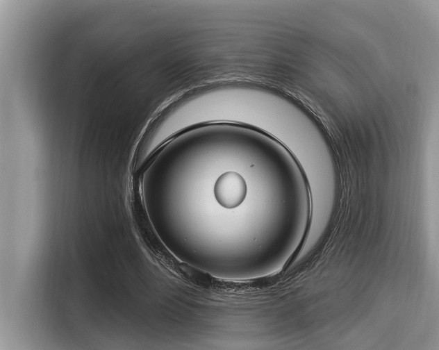 X0000115290488200911090955