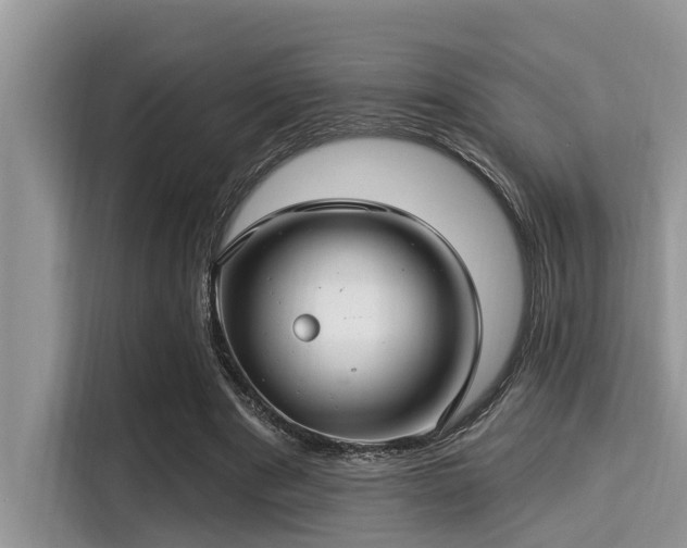 X0000115290489200911090955