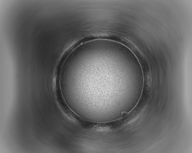 X0000115290491200911090955