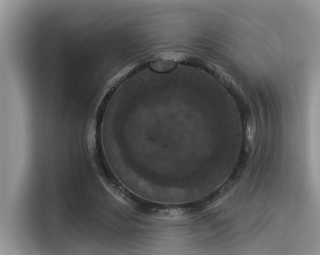 X0000115290492200911090955