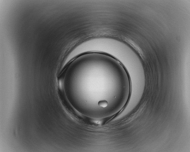 X0000115290493200911090955