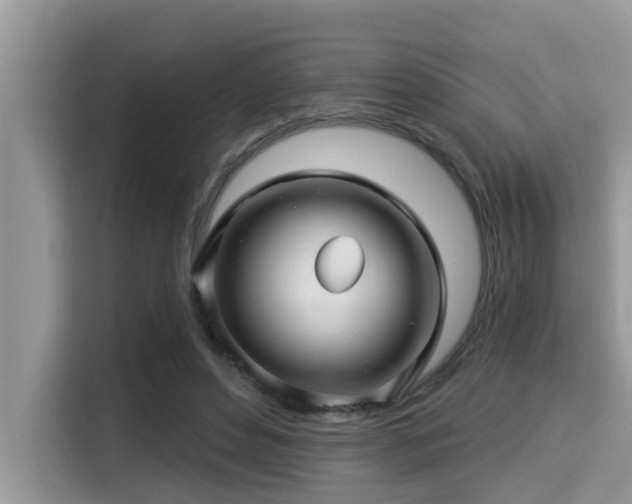 X0000115290496200911090955