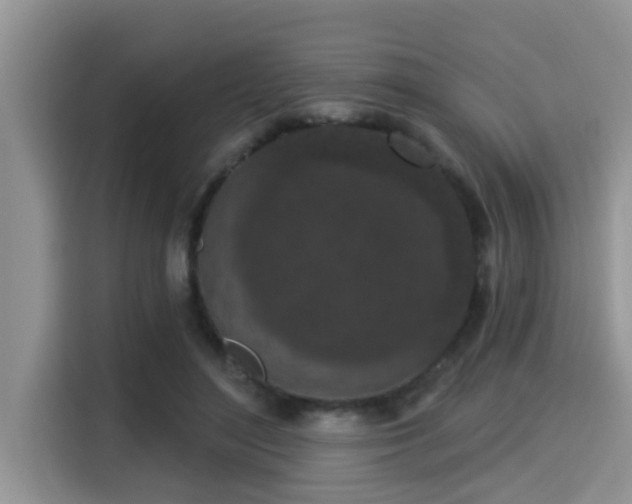 X0000115290500200911090955