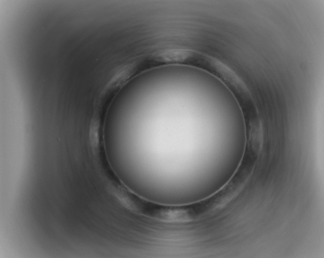 X0000115290501200911090955