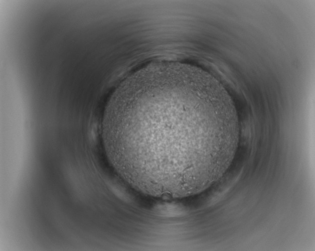 X0000115290503200911090955