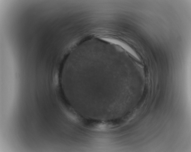 X0000115290504200911090955