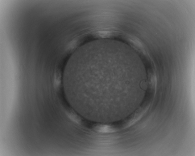 X0000115290507200911090955