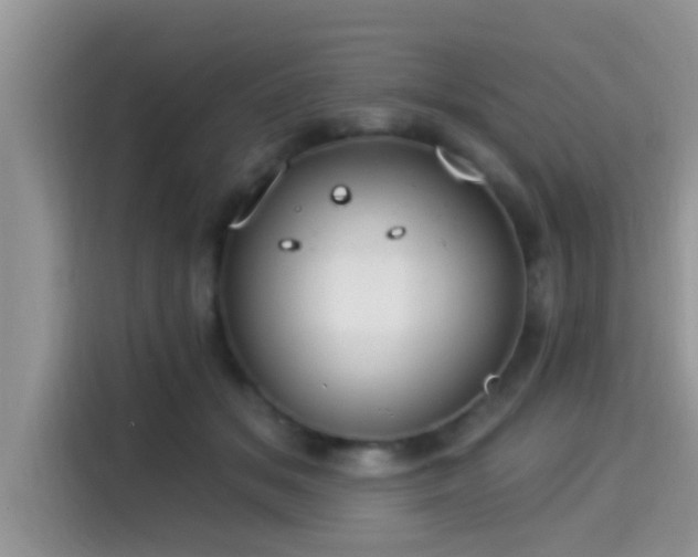 X0000115290509200911090955