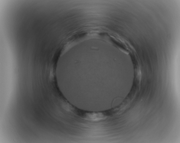X0000115290517200911090955