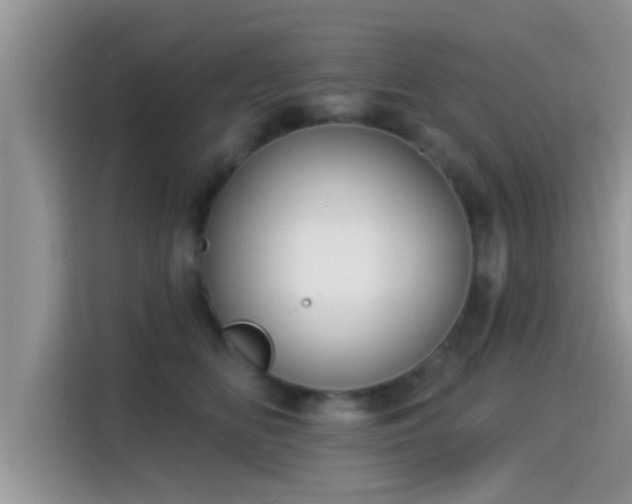 X0000115290518200911090955