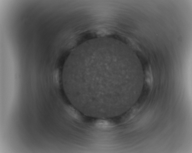 X0000115290519200911090954