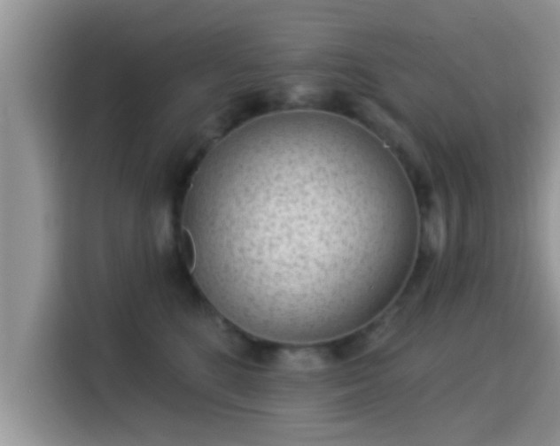 X0000115290520200911090954