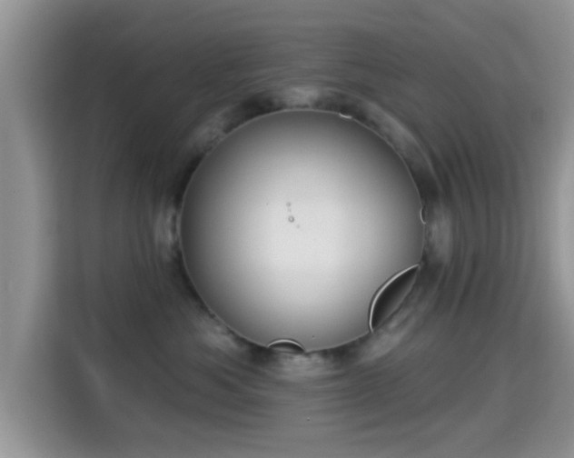 X0000115290525200911090954
