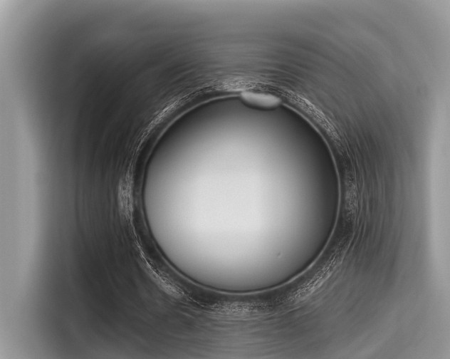 X0000115290530200911090954