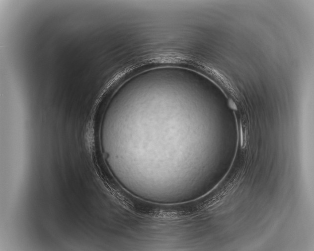 X0000115290531200911090954