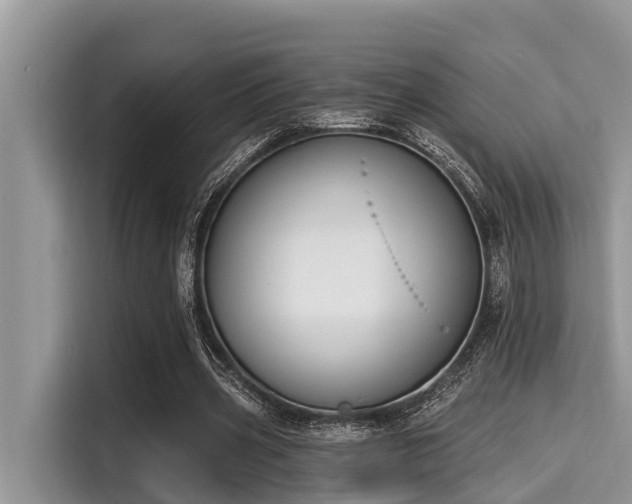 X0000115290533200911090954
