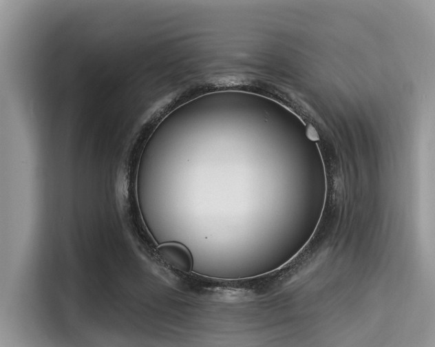 X0000115290539200911090954
