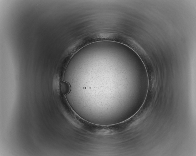 X0000115290542200911090954