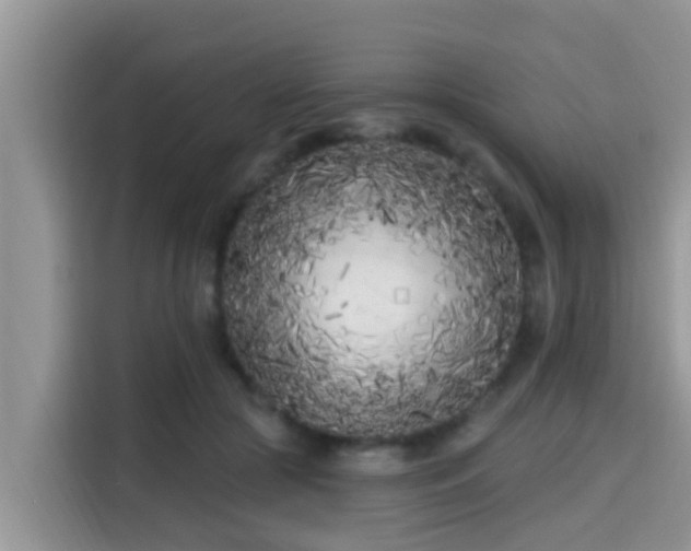 X0000115290553200911090954