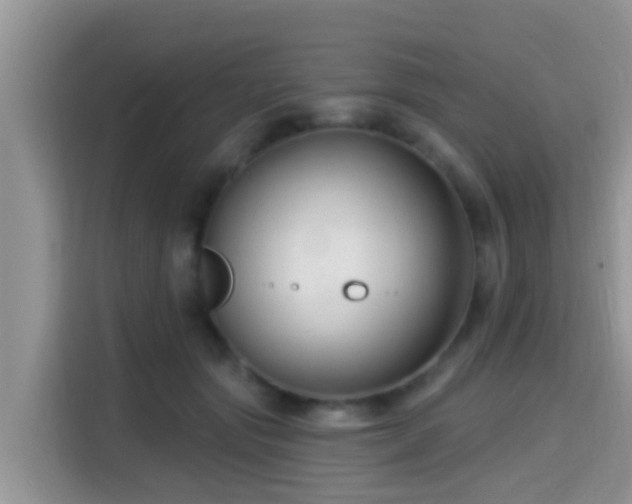 X0000115290557200911090954