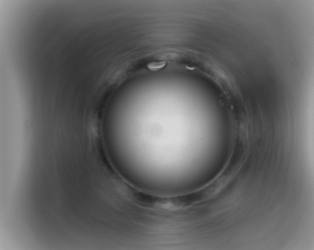 X0000115290561200911090954