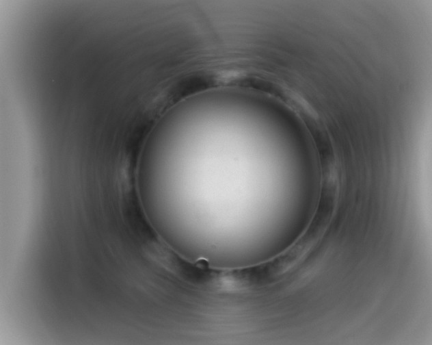 X0000115290565200911090954