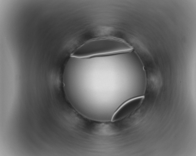 X0000115290566200911090954