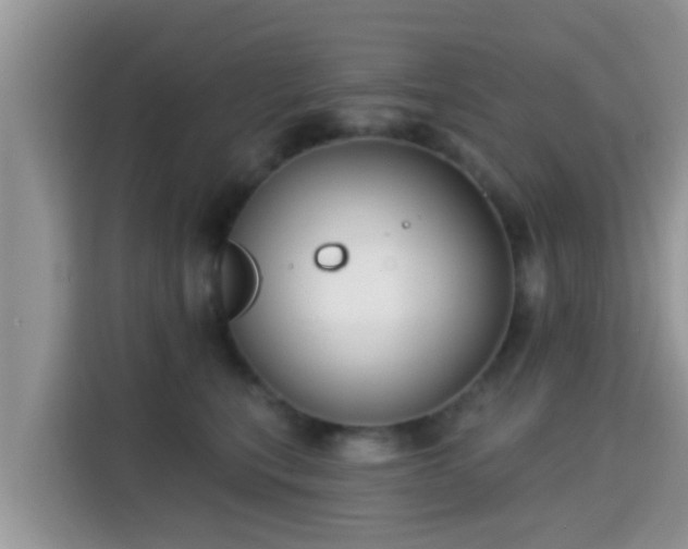 X0000115290567200911090954