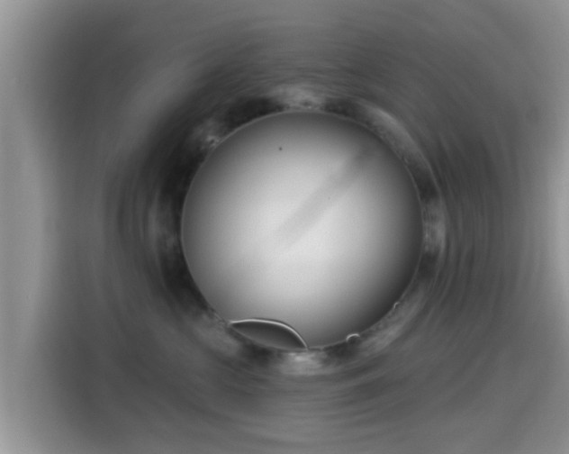 X0000115290573200911090954