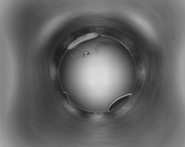 X0000115290574200911090954