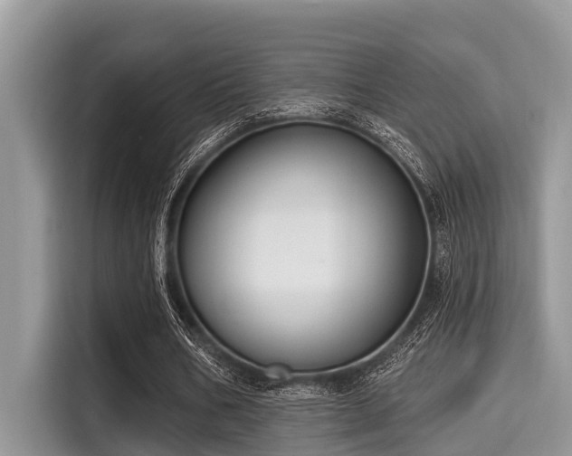 X0000115290578200911090954