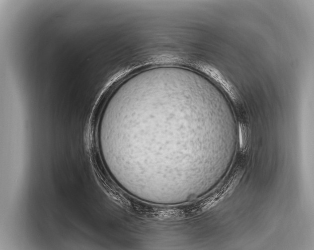 X0000115290579200911090954