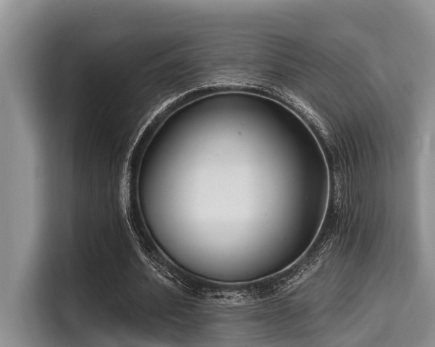 X0000115290580200911090954