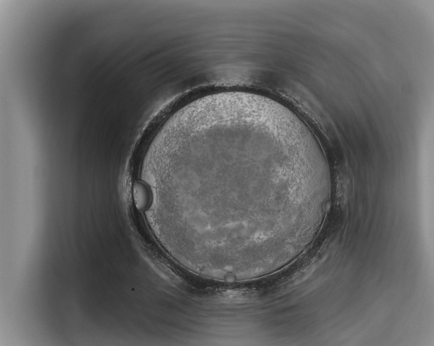 X0000115290584200911090953