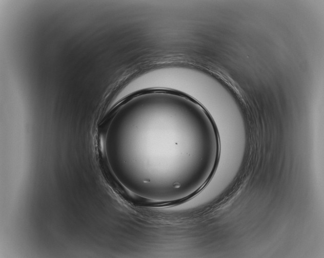 X0000115290585200911090953