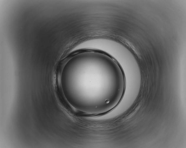 X0000115290589200911090953