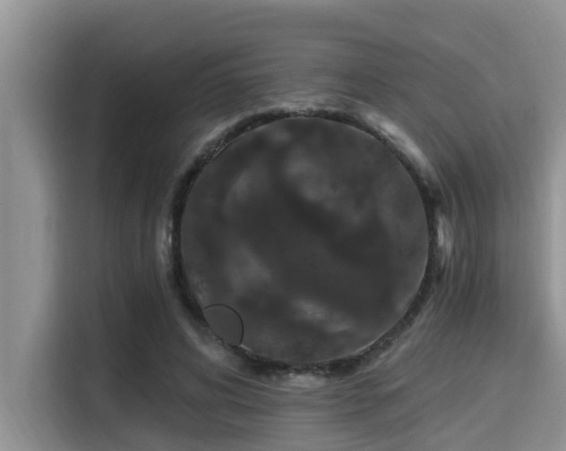 X0000115290592200911090953