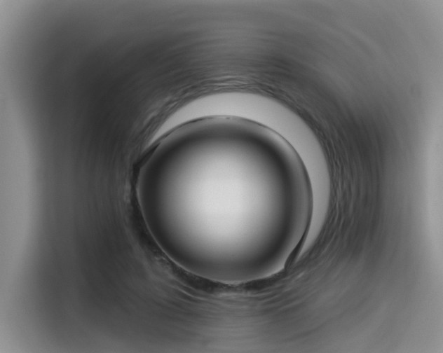 X0000115290595200911090953