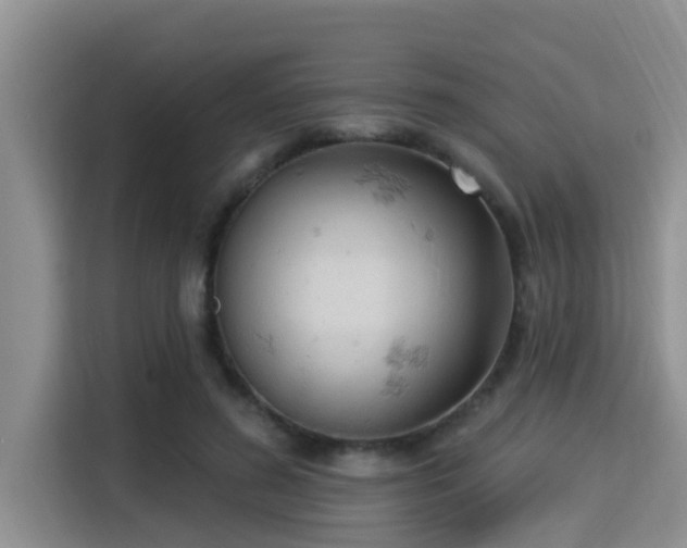 X0000115290596200911090953