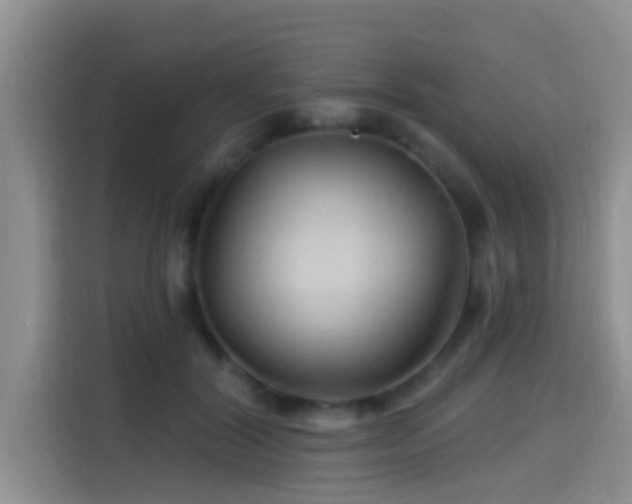 X0000115290604200911090953